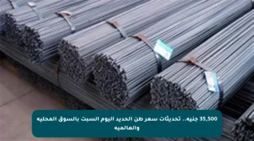 35,500 جنيه.. تحديثات سعر طن الحديد اليوم السبت بالسوق المحلية والعالمية